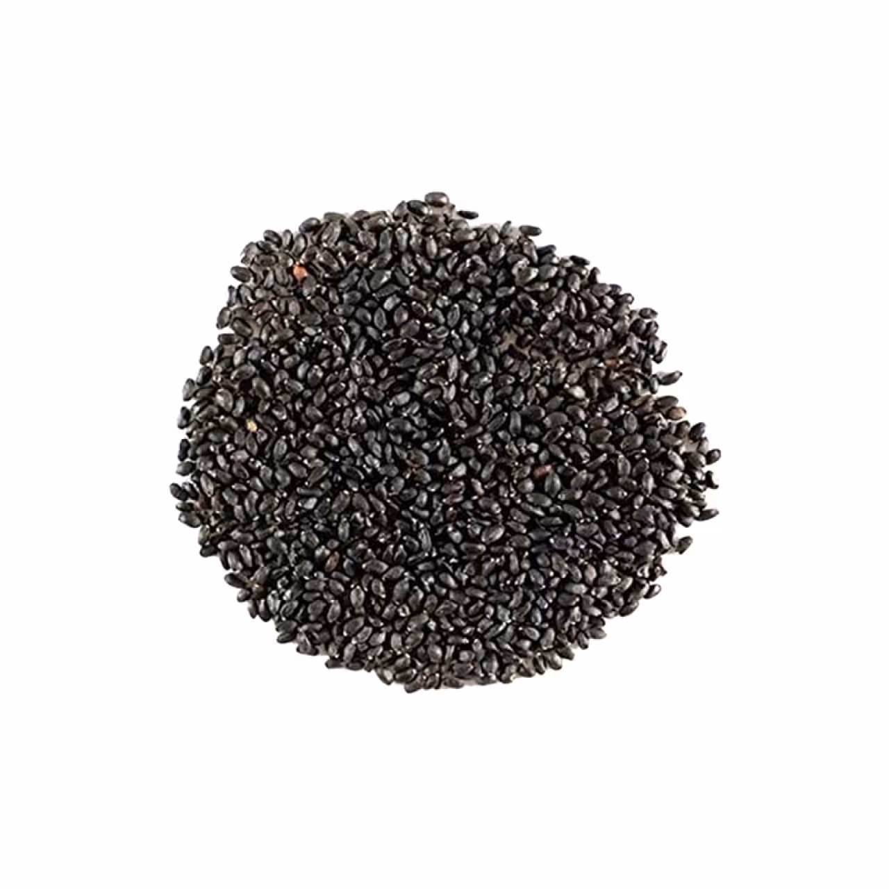 تخم ریحون شربتی درشت پاک شده 500 گرم وجیسنک