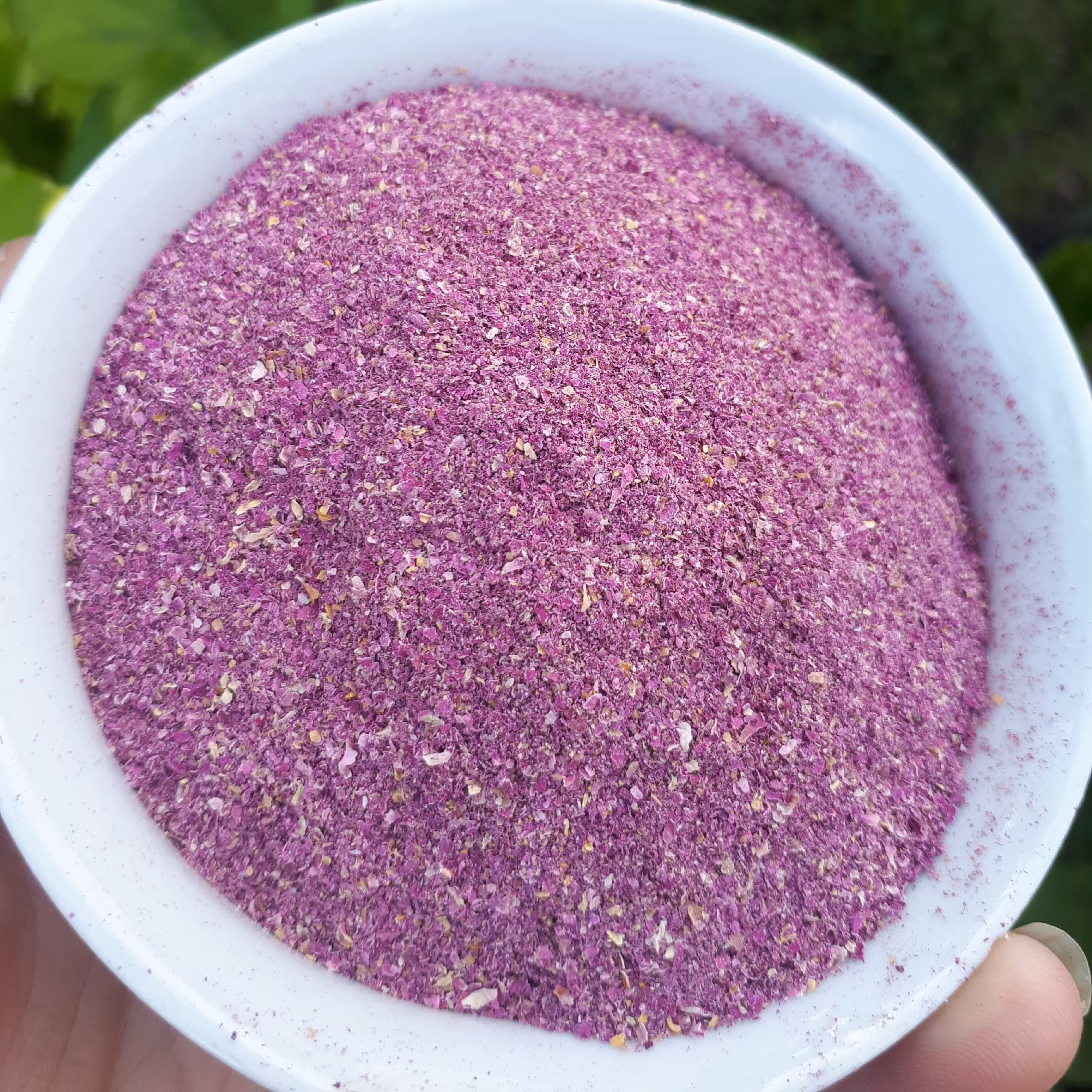 پودر گل محمدی برداشت امساله 20 گرم