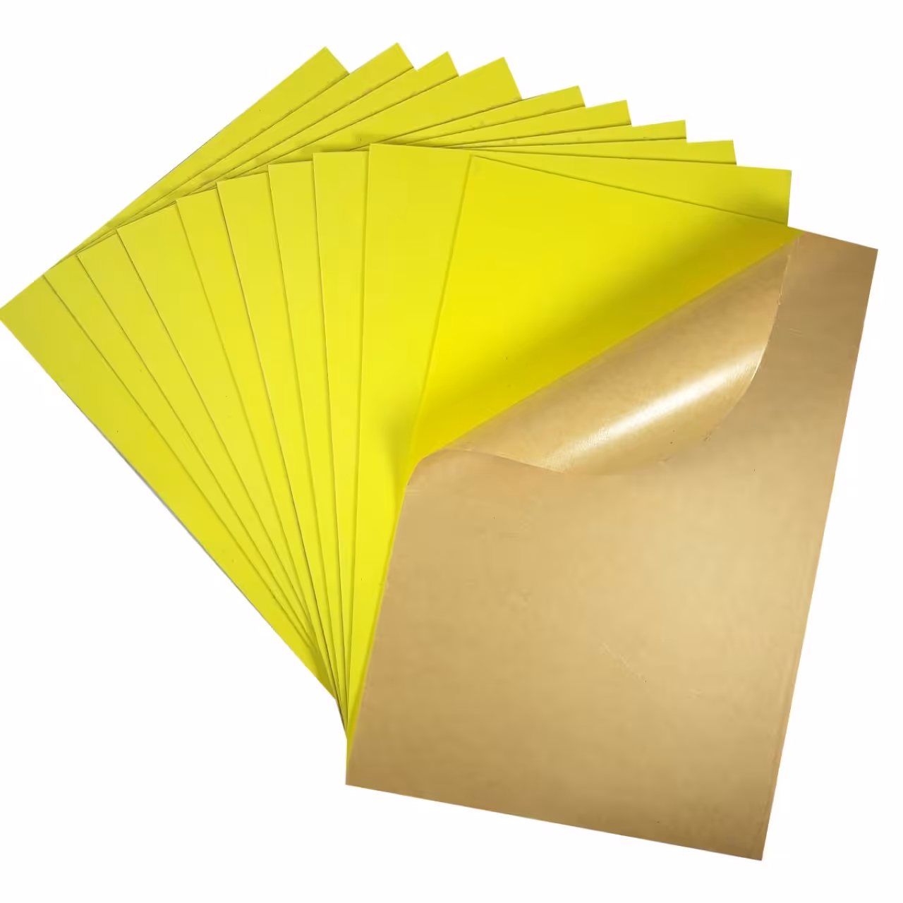 فوم مدل fo glue 8  بسته 10 عددی