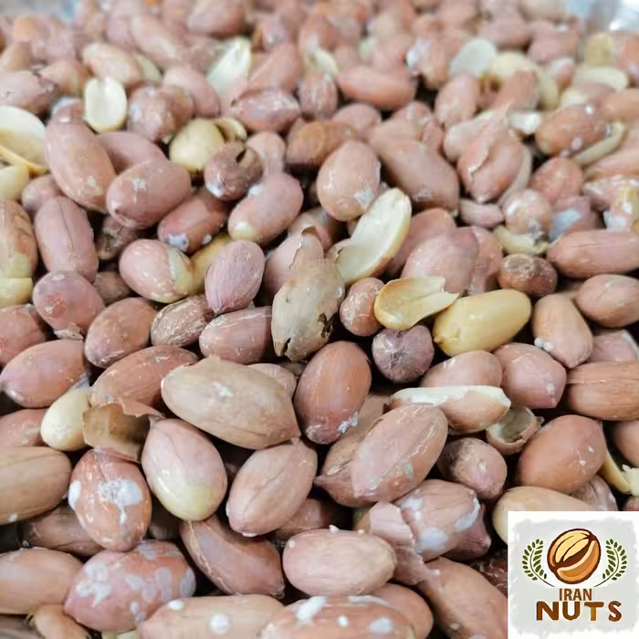 بادام زمینی درجه یک آستانه اشرفیه ( 950 گرمی ) - ارسال رایگان