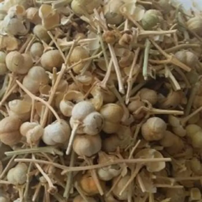 اسفند یا اسپند نخودی100 گرم