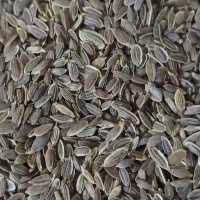 تخم شوید ایرانی نیم کیلویی