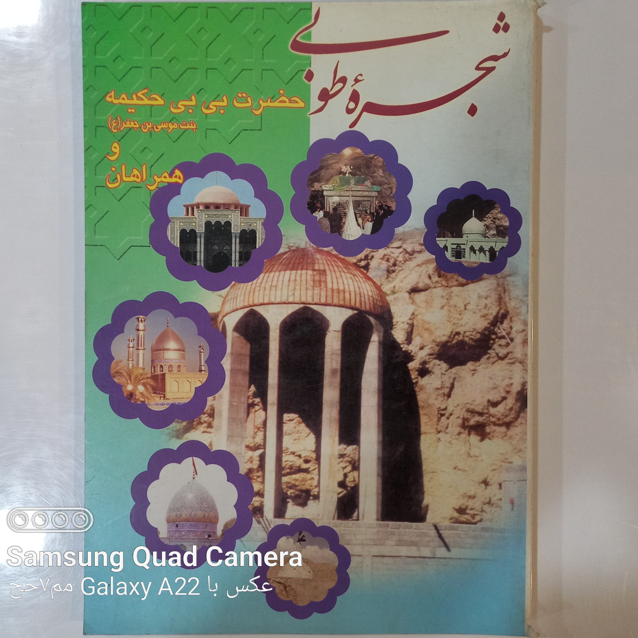 شجره طوبی حضرت بی بی حکیمه بنت موسی بن جعفر ع و همراهان