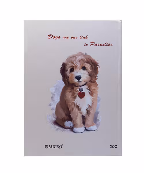 دفتر  میکرو رقعی  سلفون100برگ خطدار کاغذ زرد 15*20