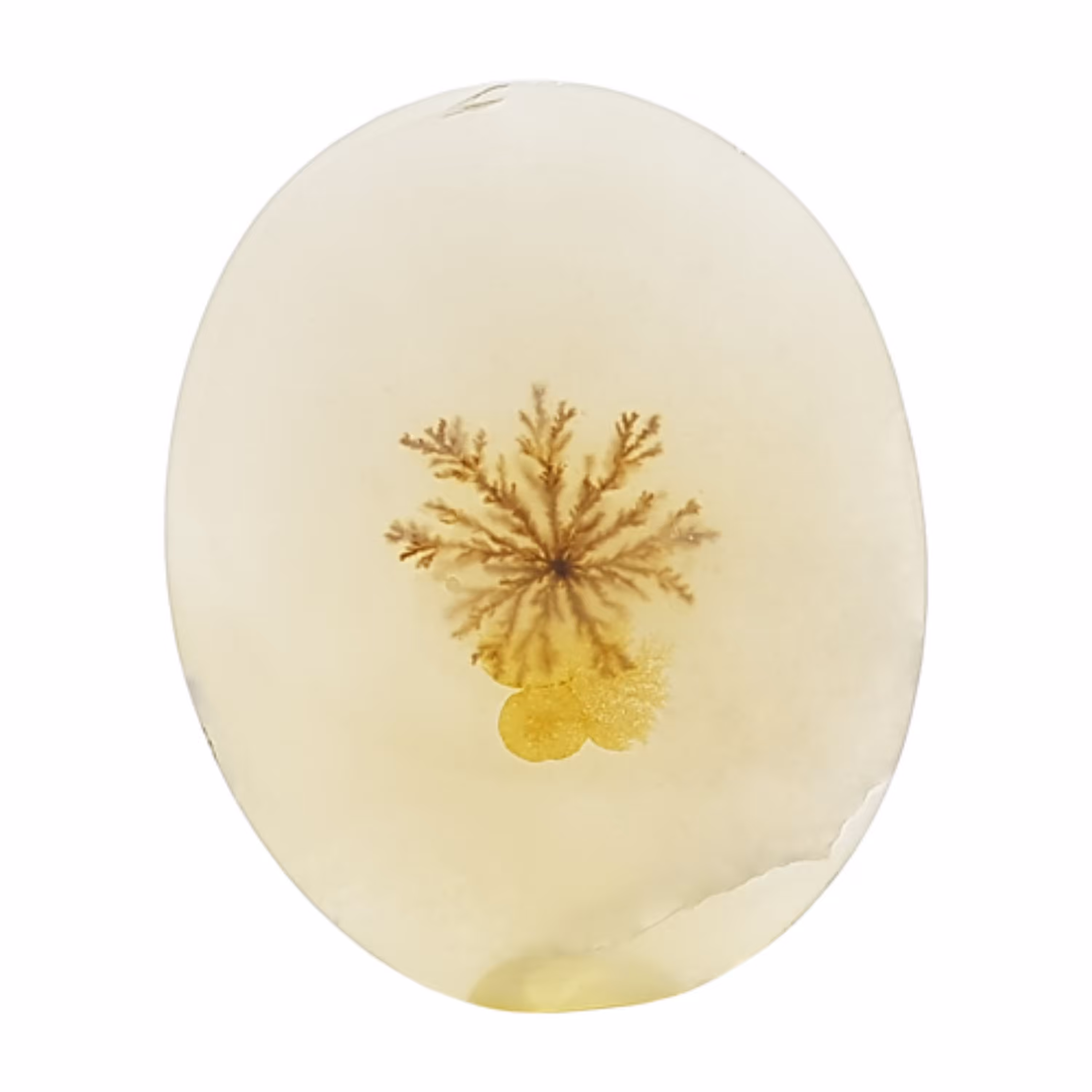 نگین عقیق شجر قائنات تراش بیضی