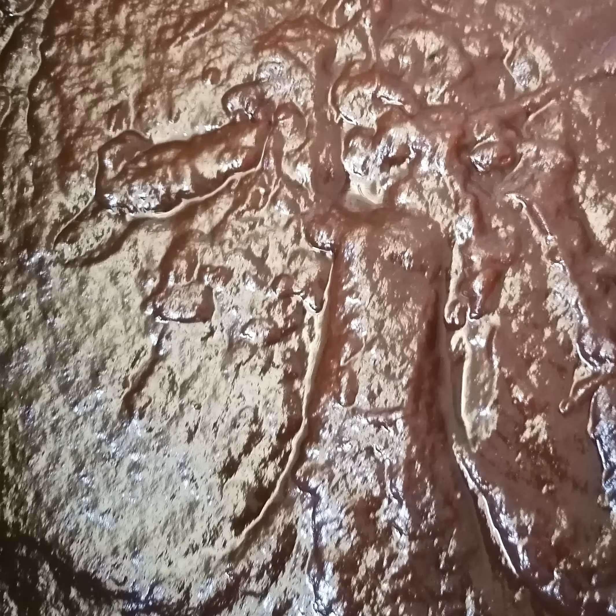 رب آلوچه ترش خانگی