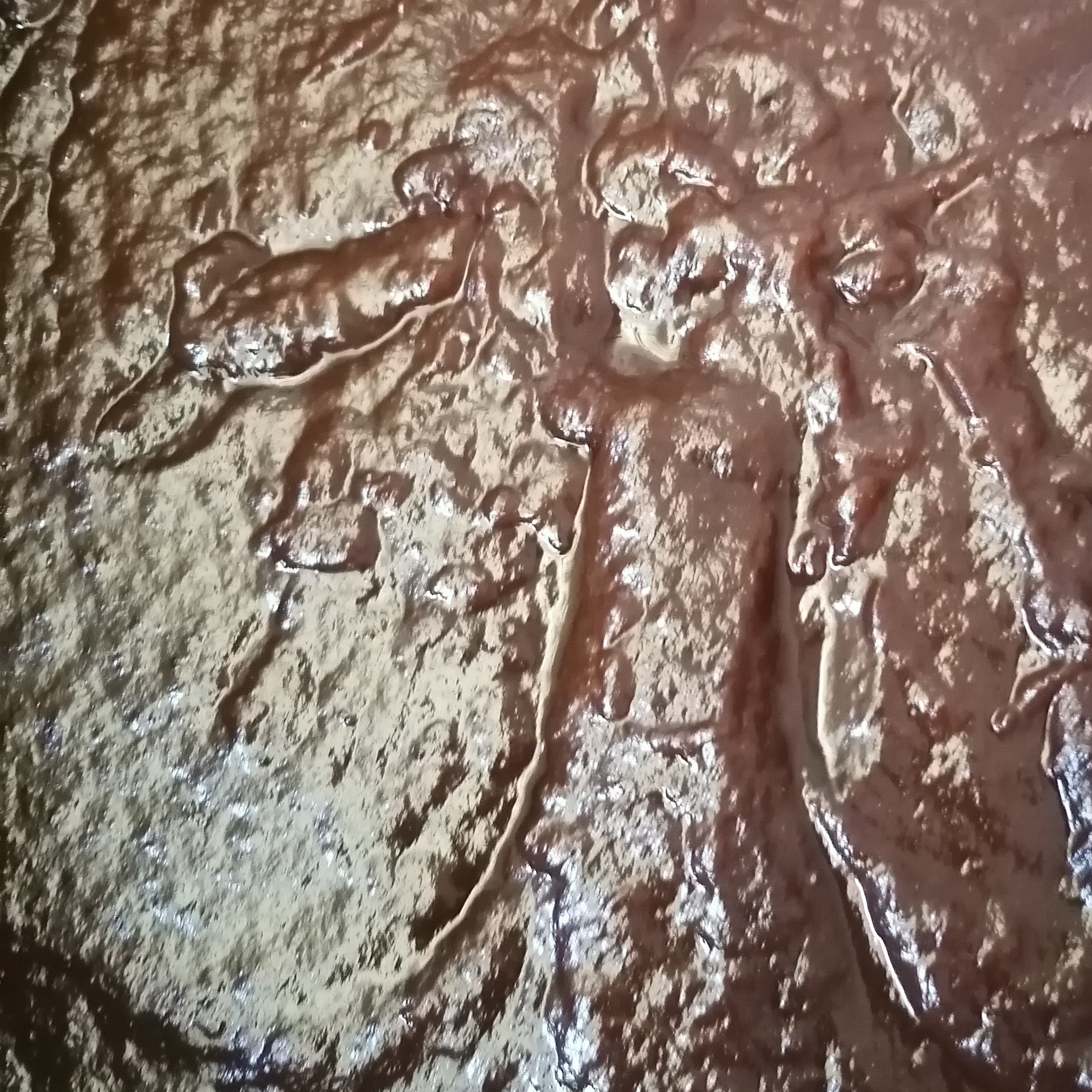 رب آلوچه ترش خانگی