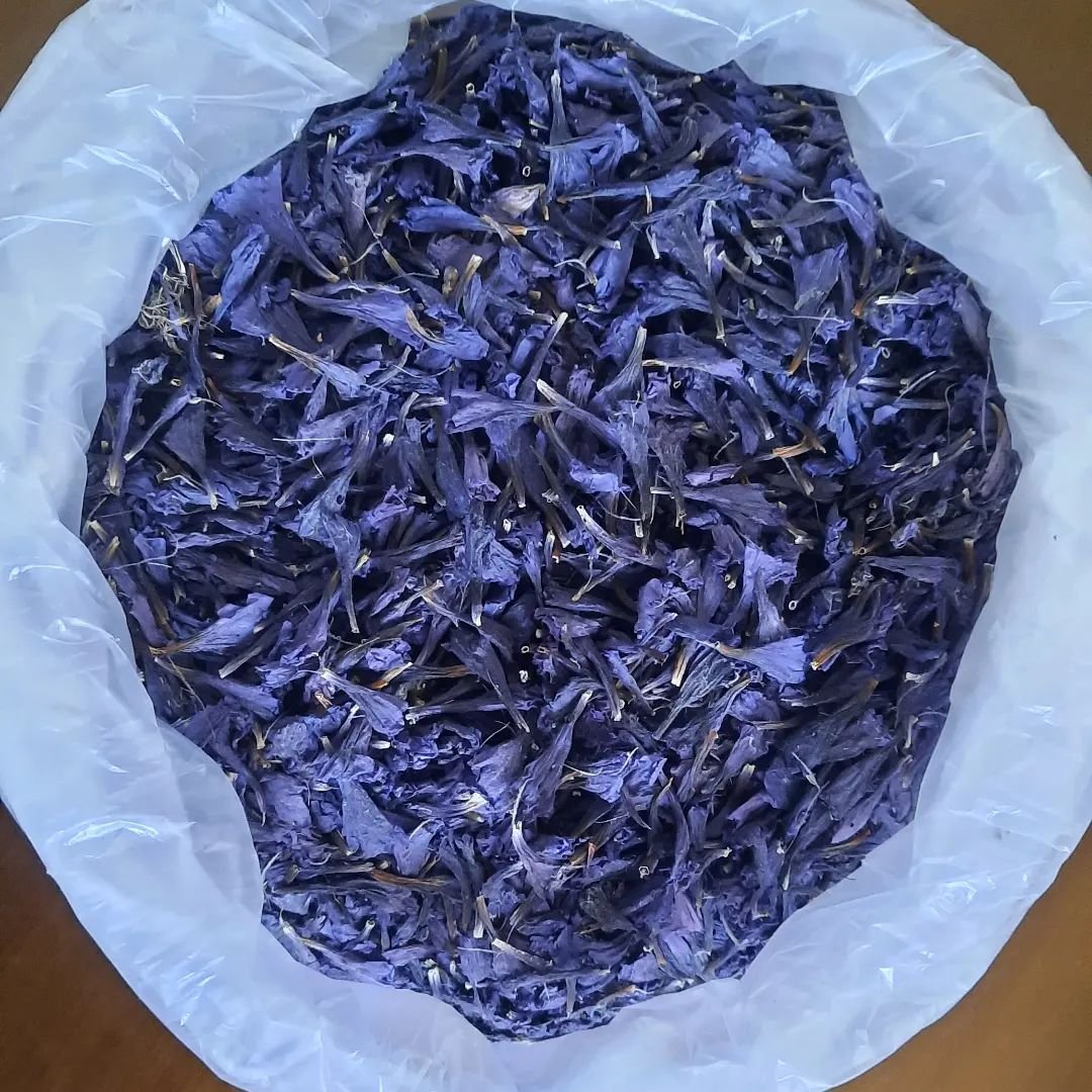 گل گاو زبان درجه یک (10 گرم)