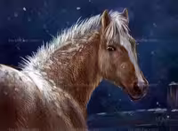 عکس نقاشی اسب زیبا | گرافیک با طعم تربچه