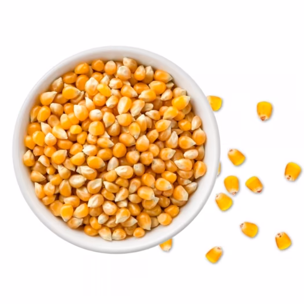 دون ذرت 250 گرمی