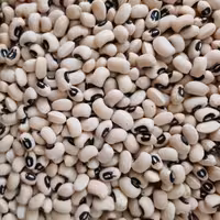 لوبیا چشم بلبلی اعلا 900 گرمی