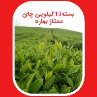 چای سرگل ممتاز بهاره 1403 قیصر (5  کیلو)