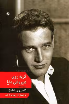 کتاب گربه روی شیروانی داغ اثر تنسی ویلیامز
