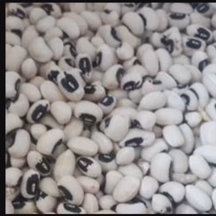 لوبیا چشم بلبلی 900گرمی کاملا اُرگانیک ایرانی برند شَرزوانی،با ارسال رایگان به کل ایران 