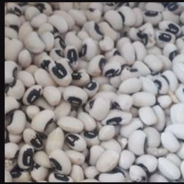 لوبیا چشم بلبلی 900گرمی کاملا اُرگانیک ایرانی برند شَرزوانی،با ارسال رایگان به کل ایران 