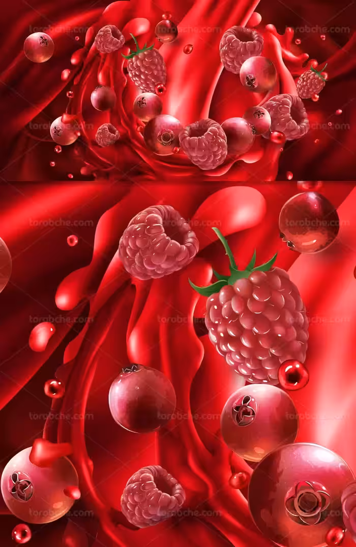 وکتور پس زمینه تمشک و بلوبری | گرافیک با طعم تربچه