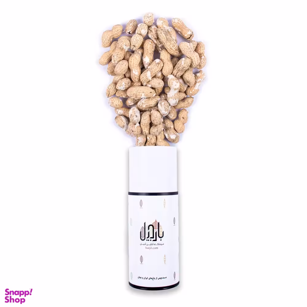 بادام زمینی برشته آستانه با پوست بارجیل
