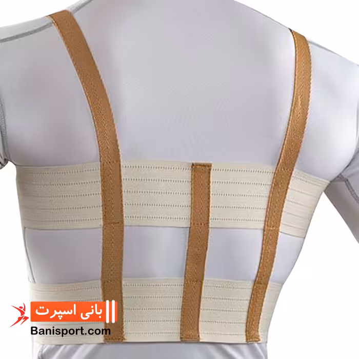 حمایت کننده قفسه سینه منفذدار پاک سمن 151