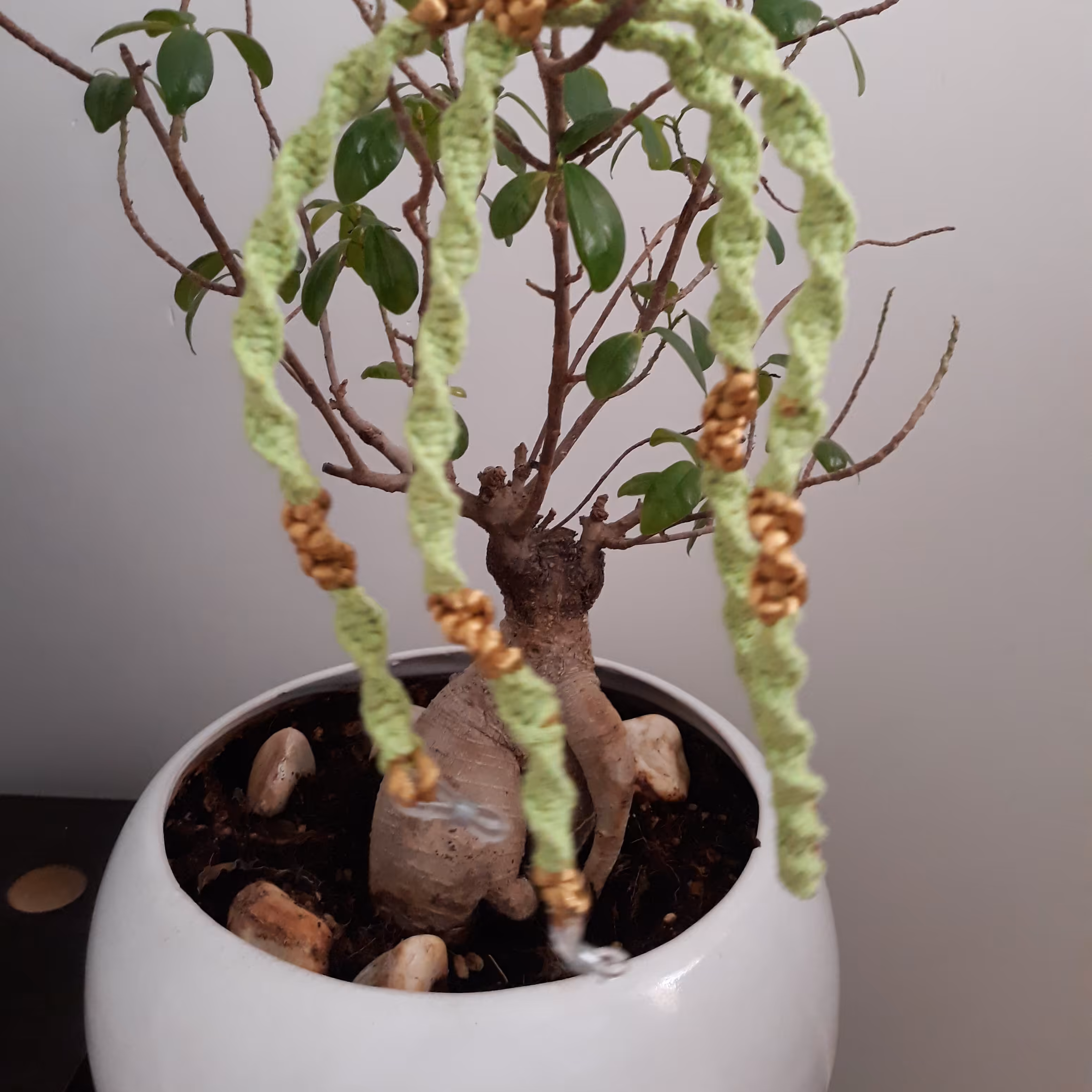 بند عینک مکرومه در طرحها و رنگهای مختلف در اندازه های دلخواه