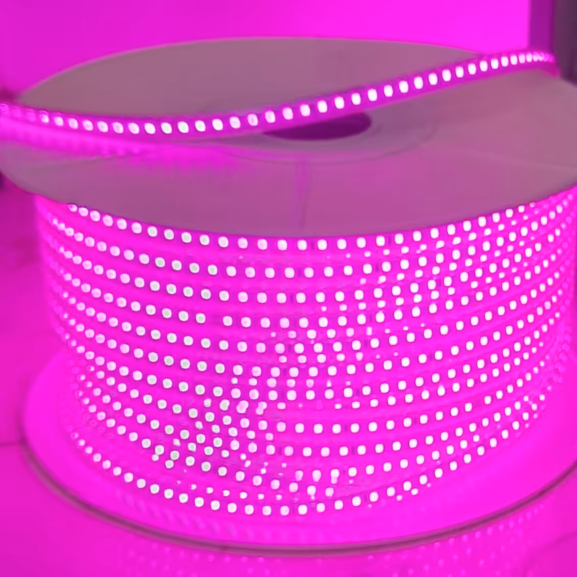 ریسه ال ای دی شلنگی وایرلس  100 متری با ال ای دی 2835  رنگ بنفش با برش 1 متر 