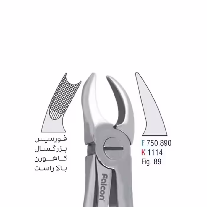 فورسپس بزرگسال کاهورن بالا راست - falcon