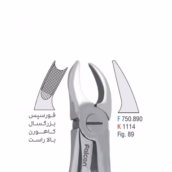 فورسپس بزرگسال کاهورن بالا راست - falcon