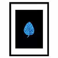 قیمت و خرید تابلو دکوراتیو مدل عکاسی مینیمال برگ کد 1549