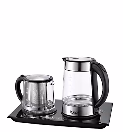 چایساز تولیپس مدل TM452GG