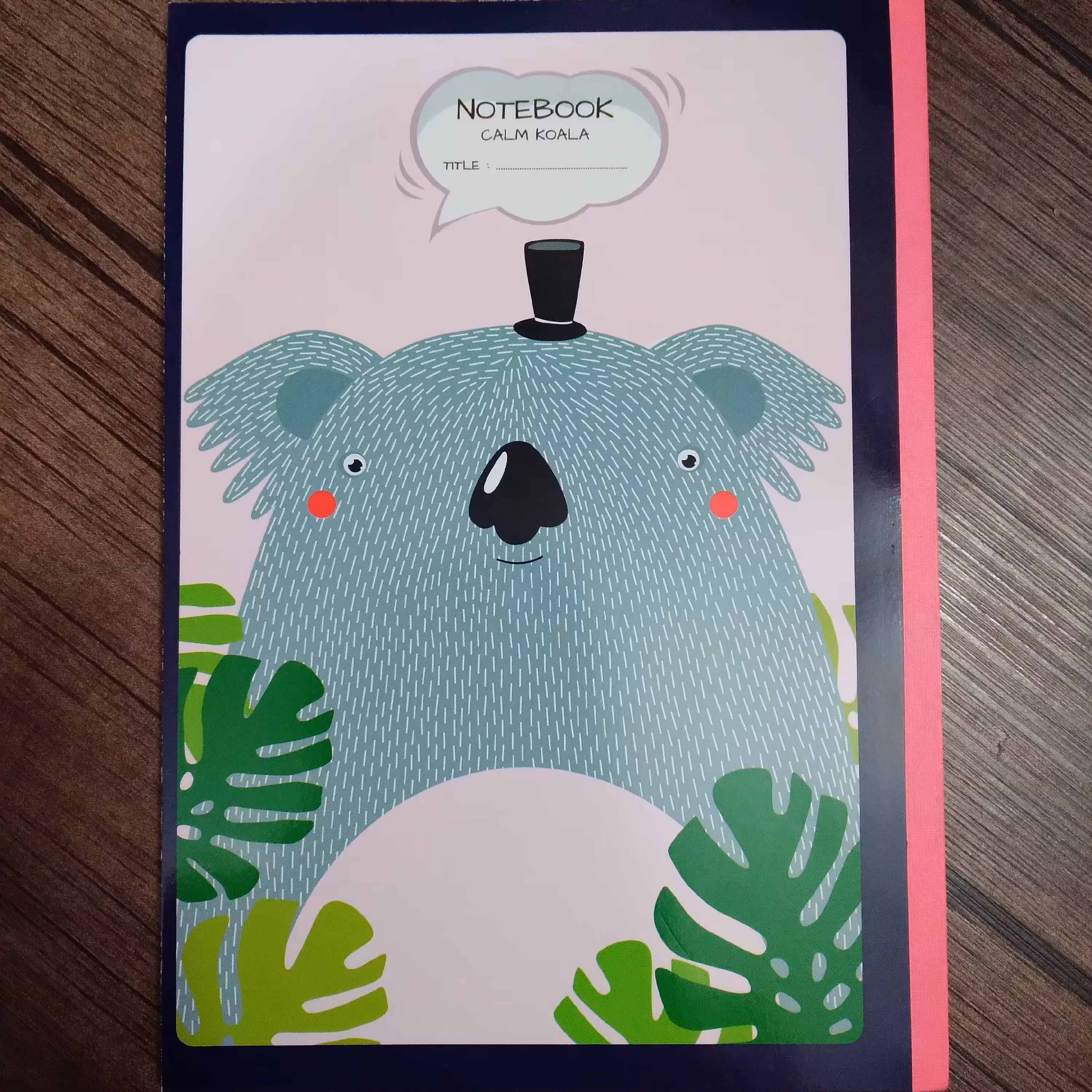 دفتر مشق 40 برگ پاپکو جلد مقوایی طرح کوالا