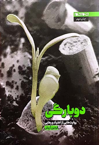 کتاب دوبارگی