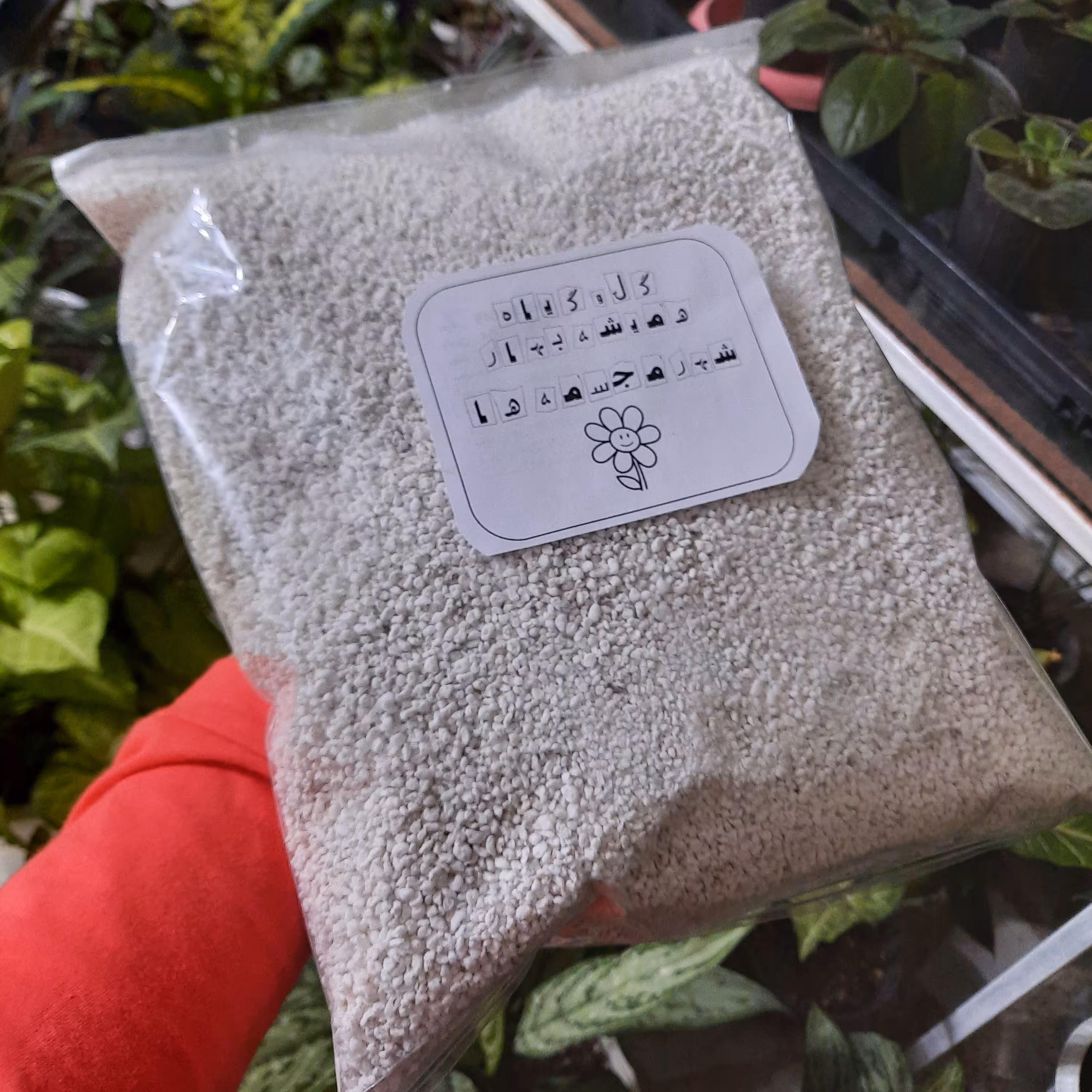 پرلیت سایز متوسط