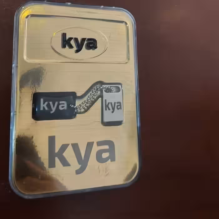 50 عدد فلش 64 گیگ کیا بسیار  شیک و مخصوص کادو 