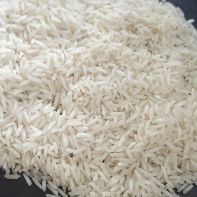 برنج استخوانی شیرودی