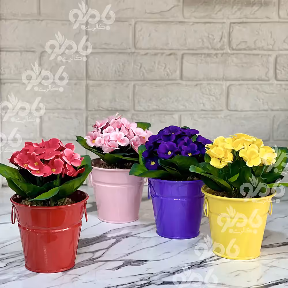 گل و گلدان سطلی بنفشه رنگی