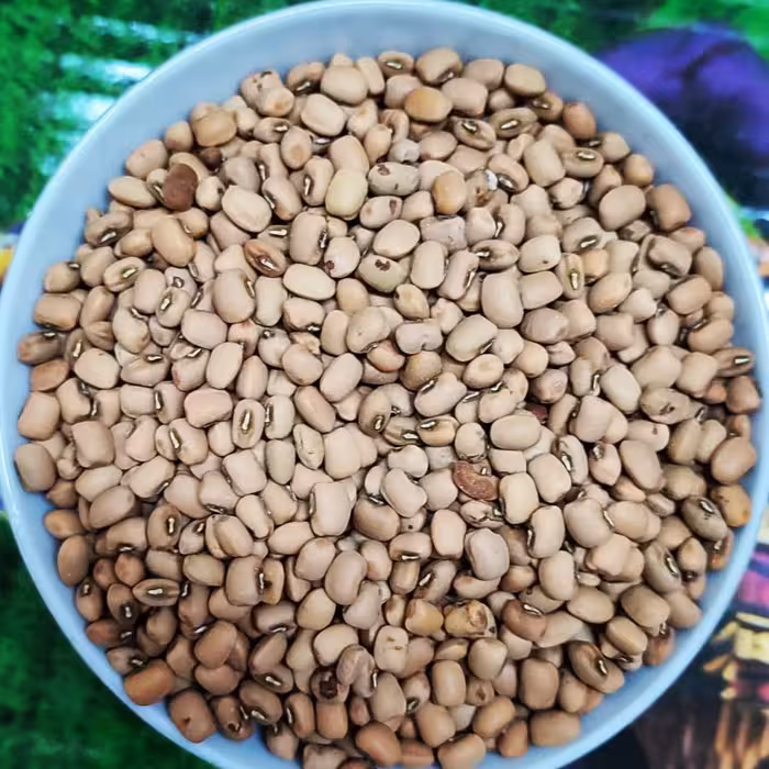 لوبیا چشم بلبلی محلی درجه یک