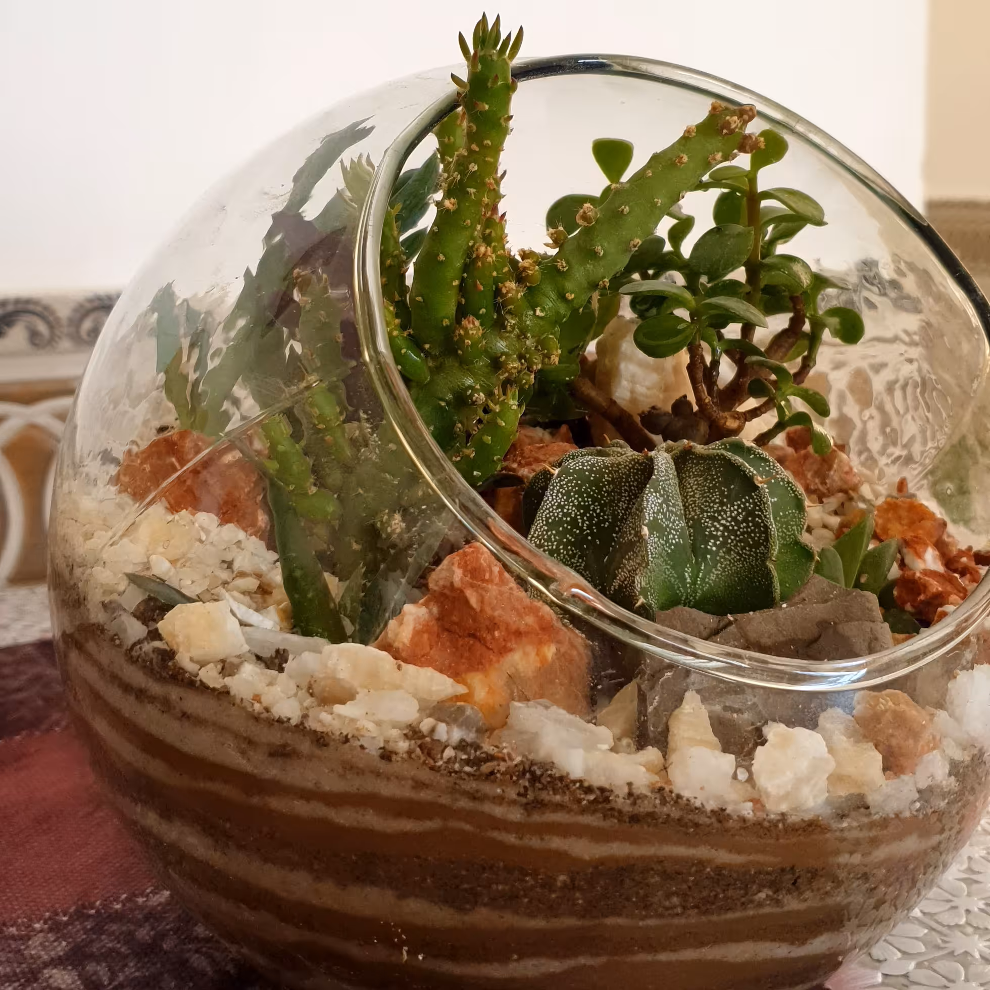 تراریوم یا باغ شیشه ای مدل a 03