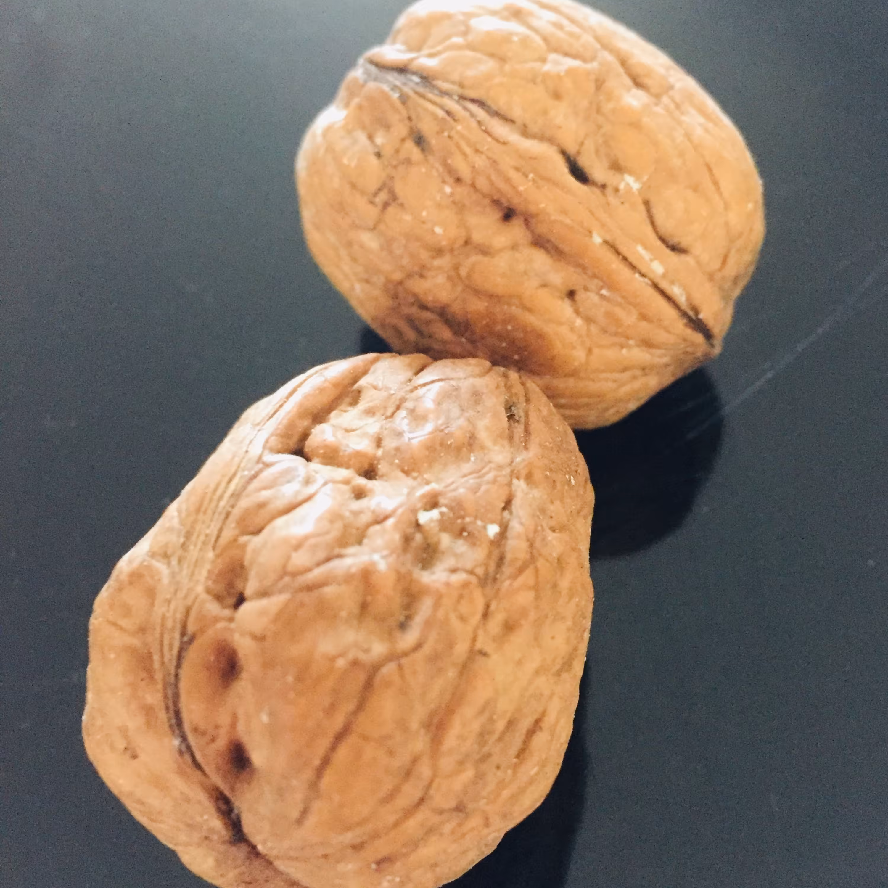 گردوی پوست کاغذی درجه  1