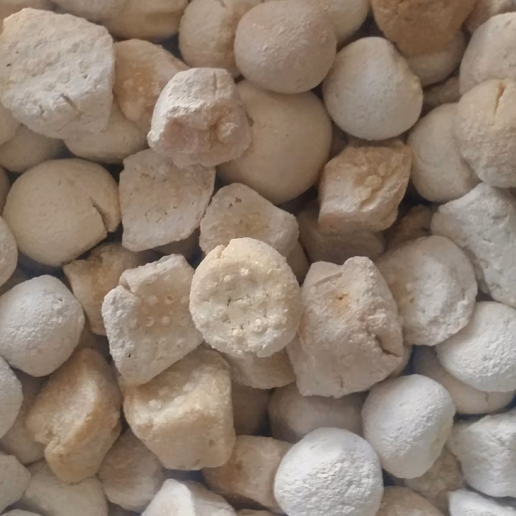 کشک گوسفندی پر چرب