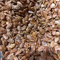 تخمه ژاپنی لوکس درشت و پر مغز (200گرمی)