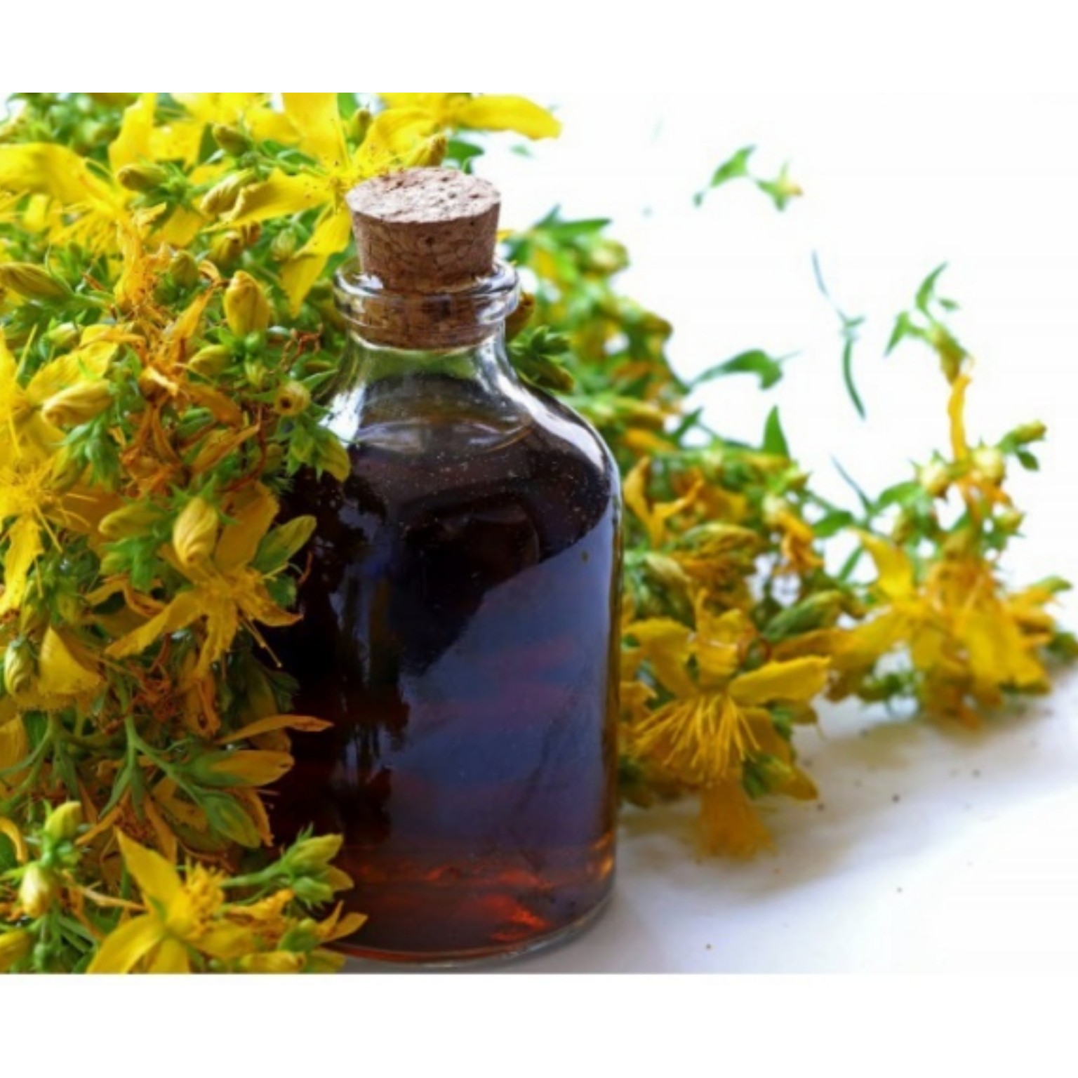 روغن علف چای 30 سی سی   مناسب رماتیسم و سوختگی روغن هوفاریقون