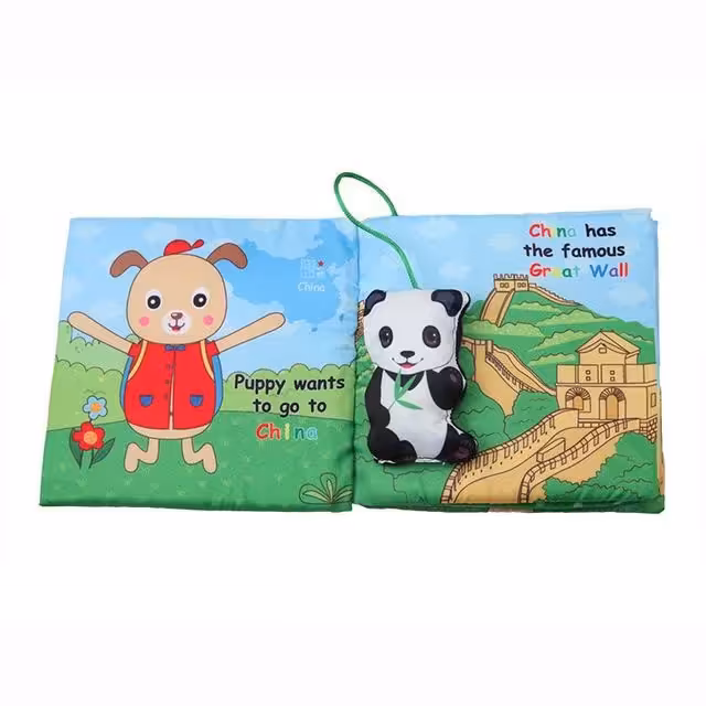 کتابچه و دندان گیر خارجی