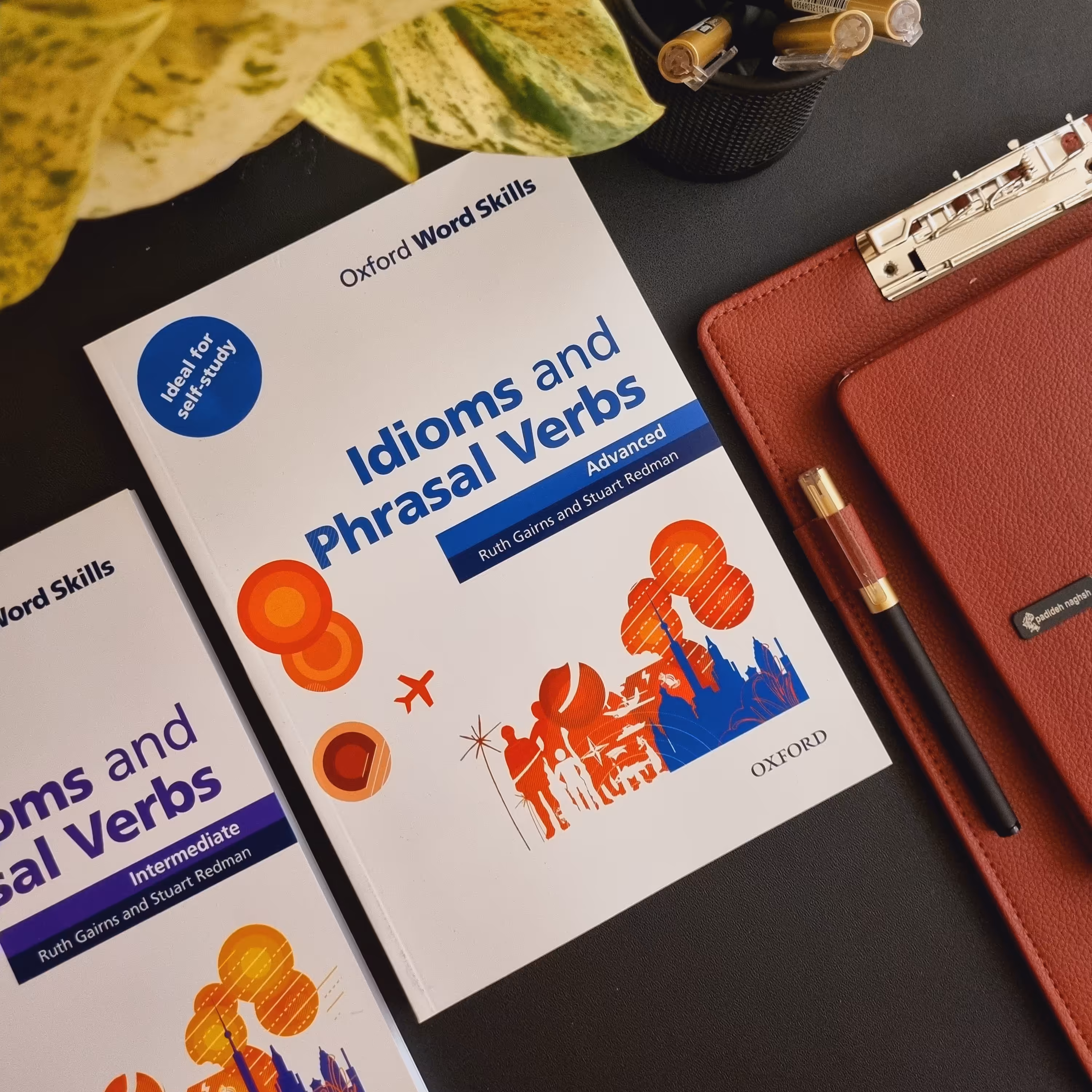 Oxford Idioms and Phrasal Verbs Advanced (کتاب آکسفورد ایدیمز اند فریزال وربز سطح پیشرفته)