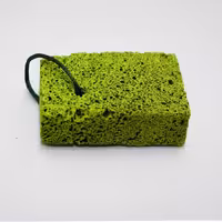 سنگ پا پاکسیس