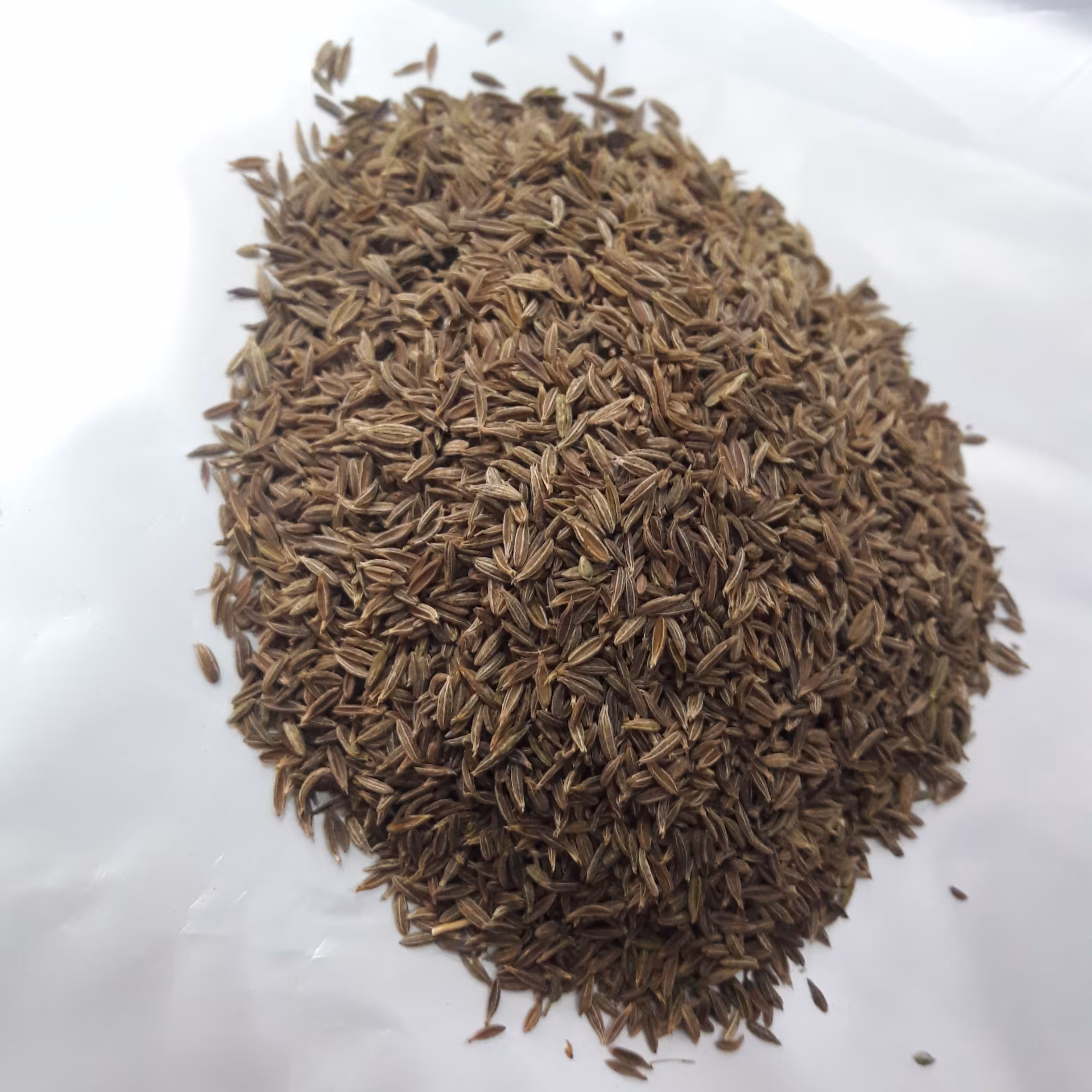 زیره سبز اعلاء(100گرمی)