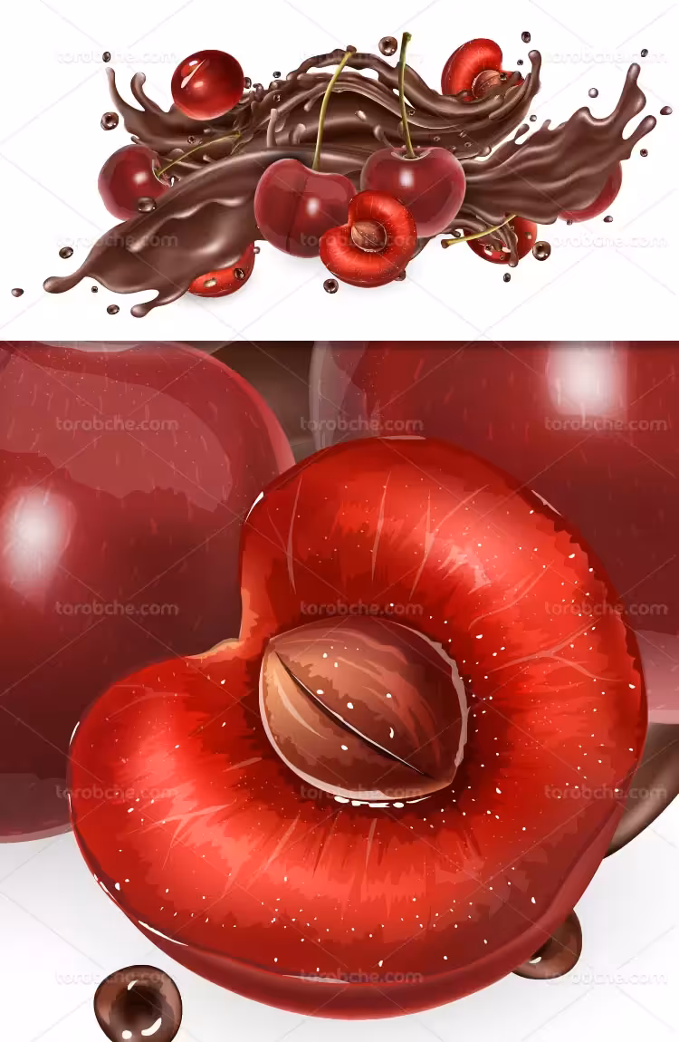 وکتور اسپلش کاکائو و گیلاس | گرافیک با طعم تربچه