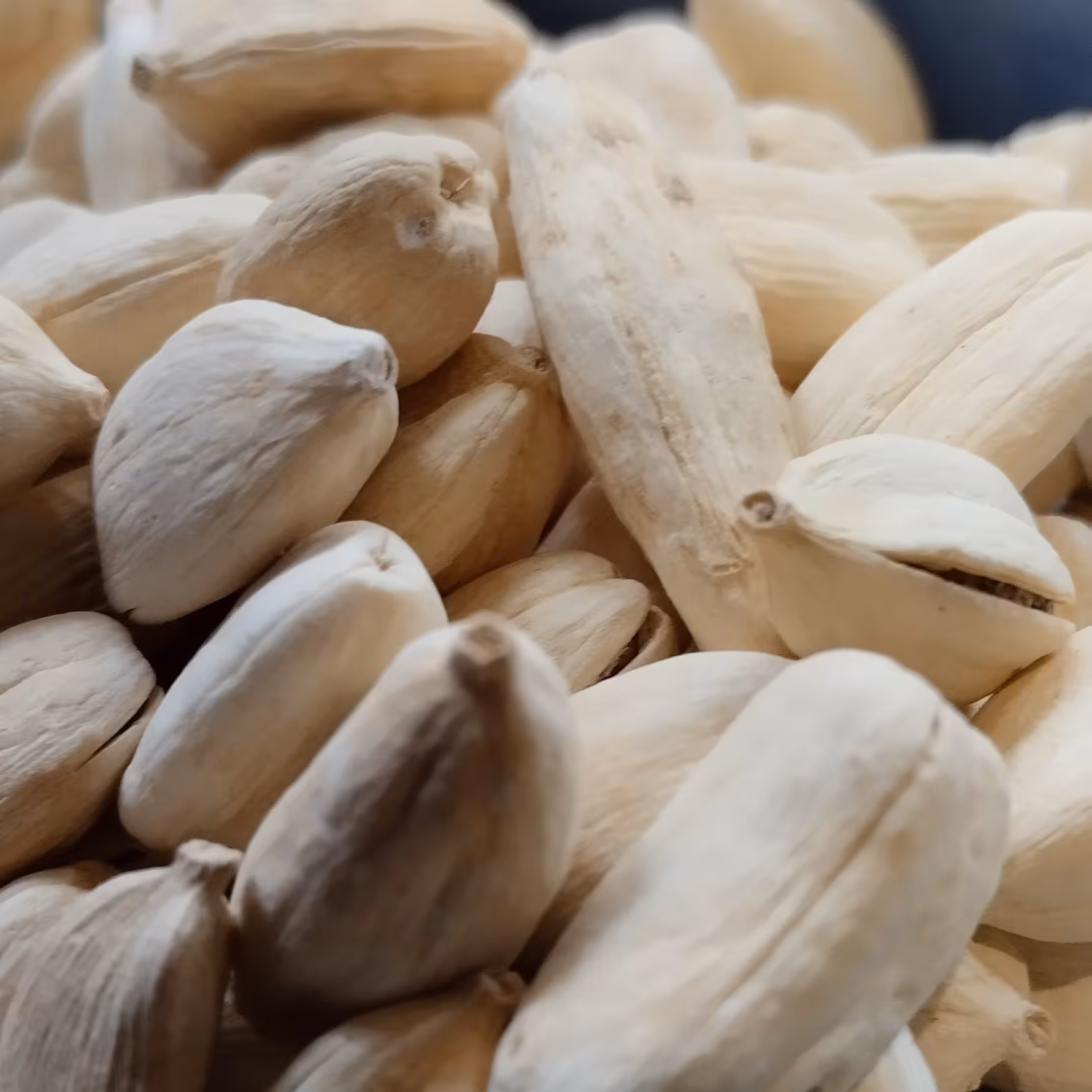 عطاری هل سفید درشت شریفی