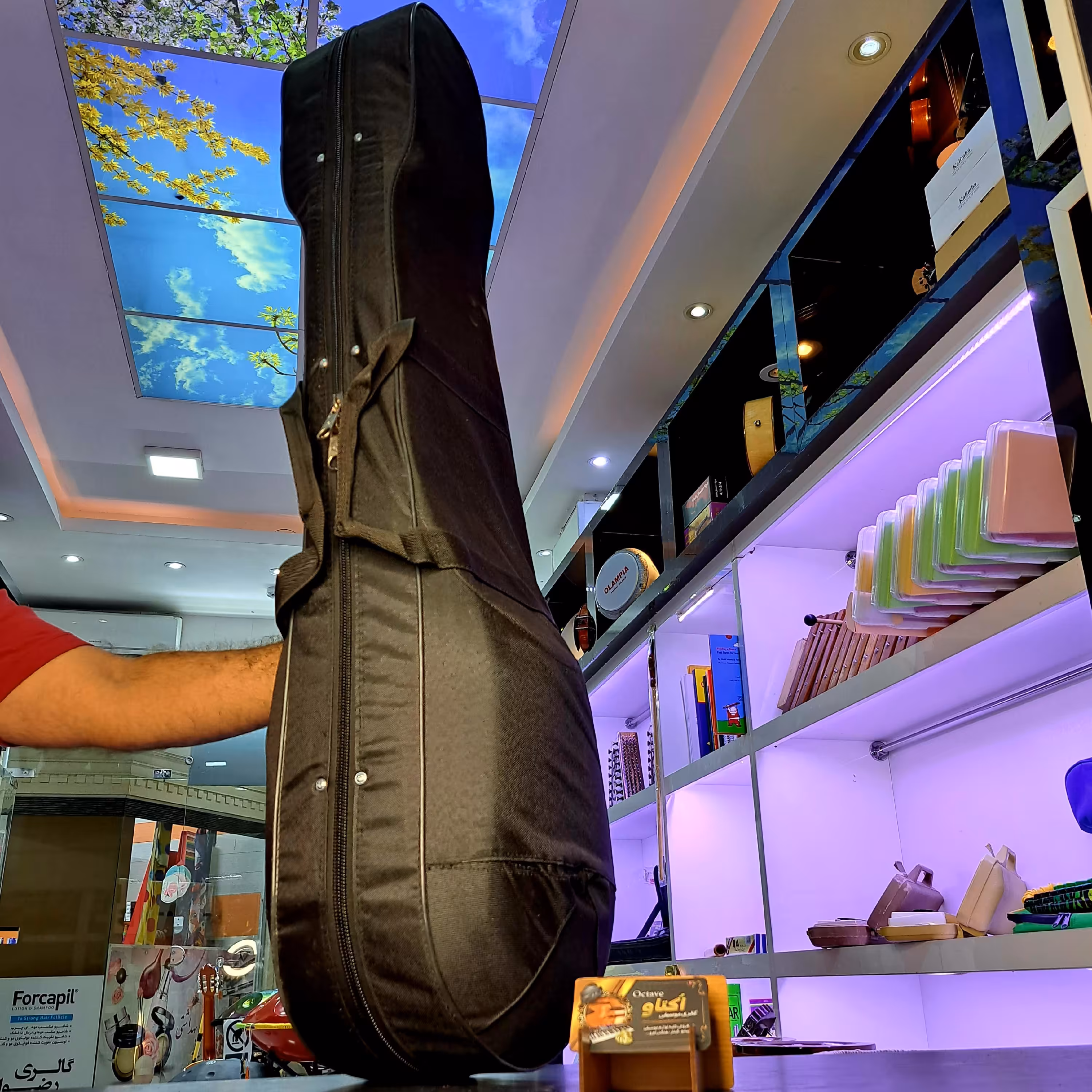 هاردکیس (جلد محکم) تنبور یونولیتی