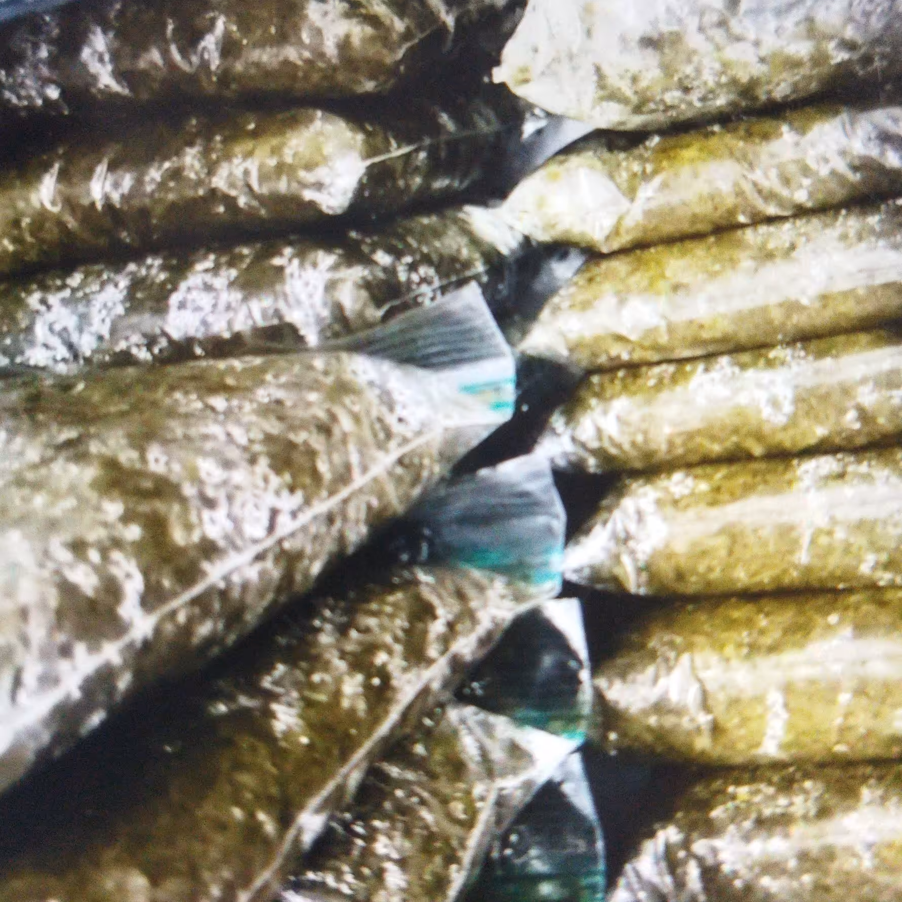 سبزی قورمه سبزی خانگی 500گرمی