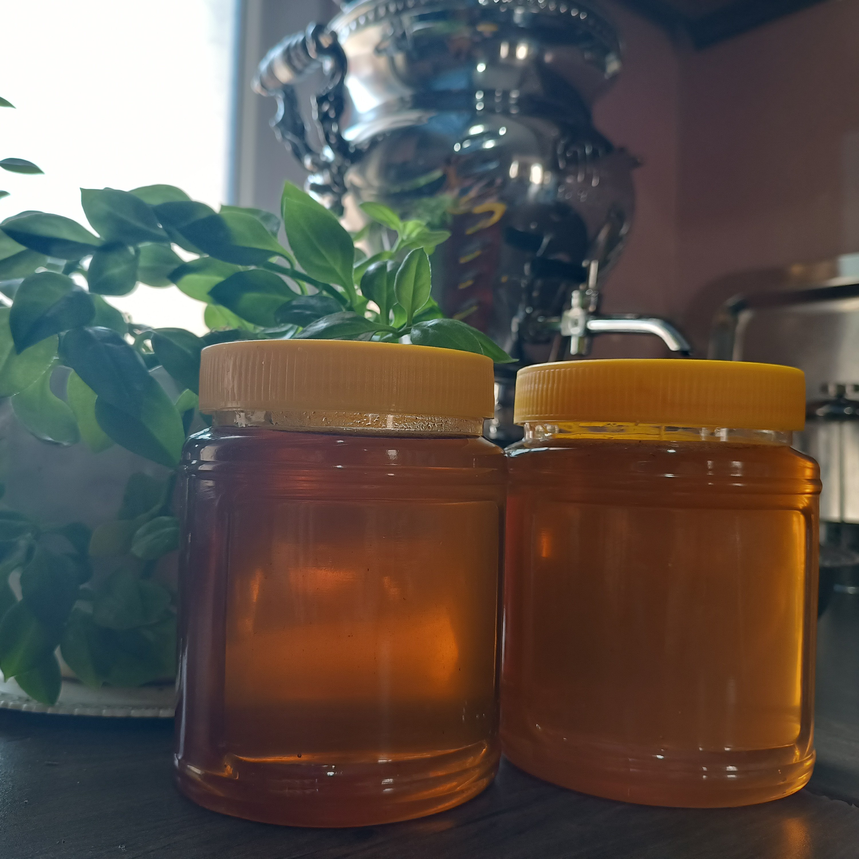 عسل گون گشنیز 2کیلویی باکیفیت عالی