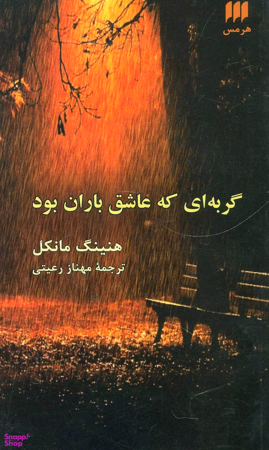 گربه ای که عاشق باران بود